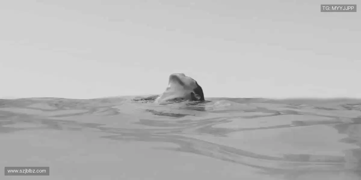 速度与激情交织,赛事直播永不卡顿!💨