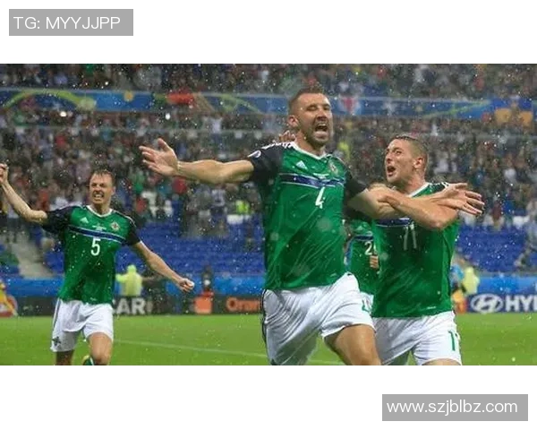 北爱尔兰迎战爱沙尼亚期待精彩对决分析双方实力与战术布局